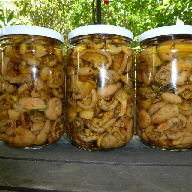 pickles de champignons